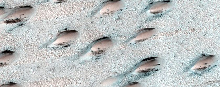 North Polar Duneforms and Frost