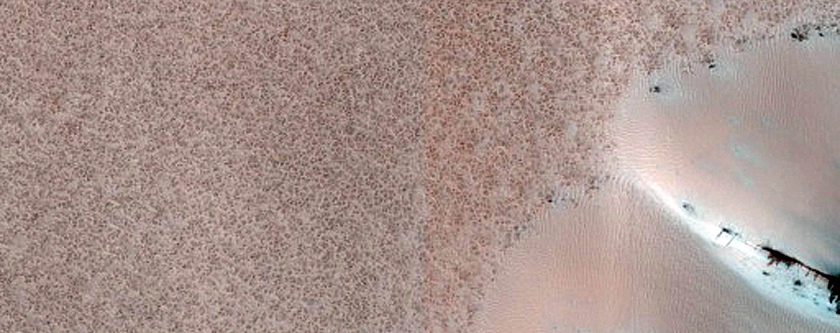 Dust-Raising Event and Streak Monitoring in North Polar Dune Field