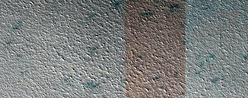 Monitoring Dune Source in West Olympia
