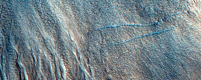 Gullied Crater Wall