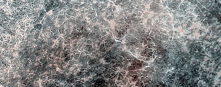 Terrain Sample
