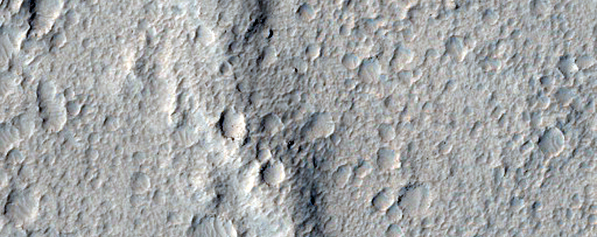 Pitted Cones and Related Terrain in Amazonis Planitia