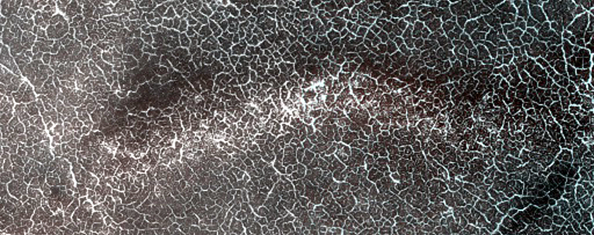 Terrain Sample