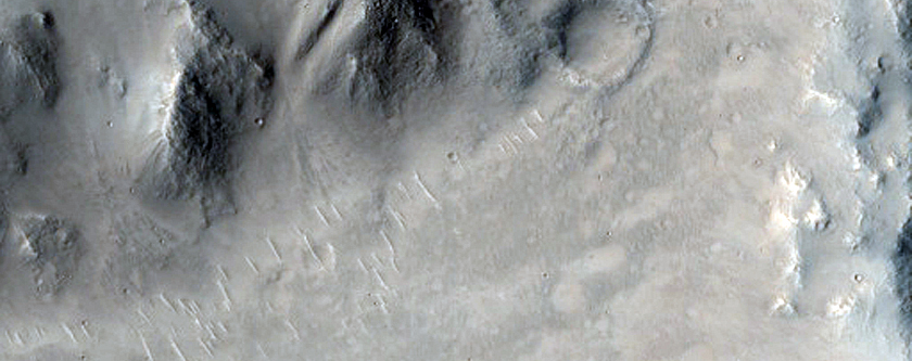 Terrain Sample