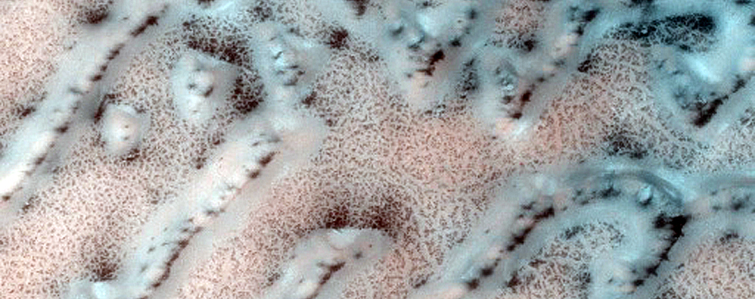 Dunes Dubbed Hagal