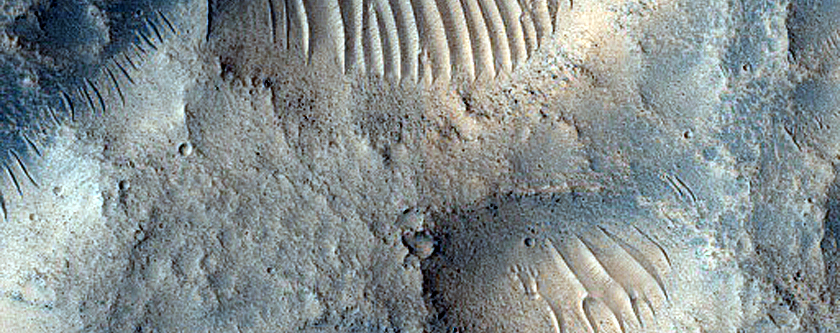 Terrain Sample