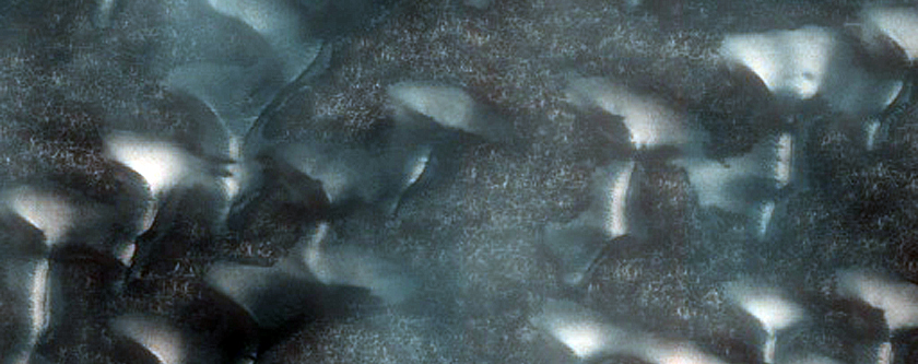 Dunes Shaped Like Ts and vs