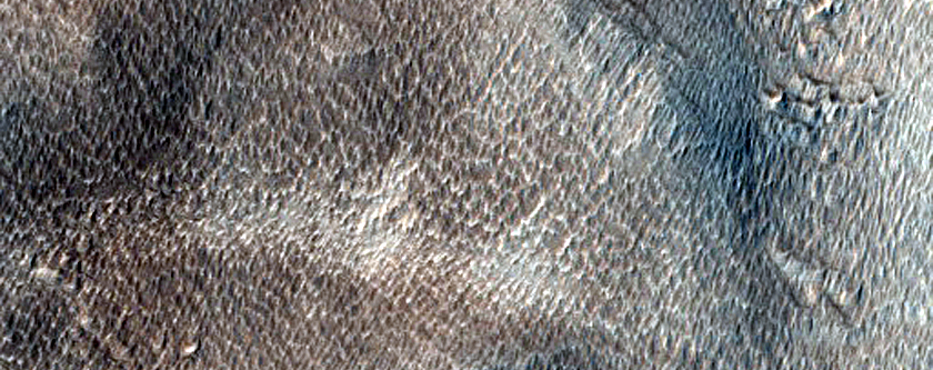 Pavonis Sulci