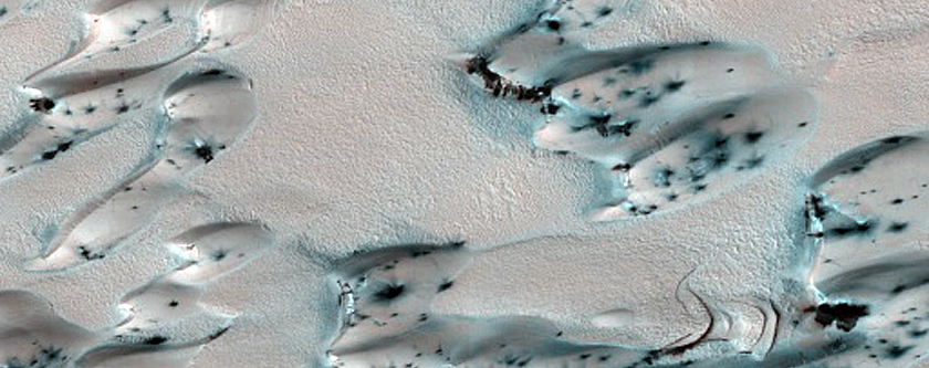 North Polar Residual Ice and Defrosting Dunes