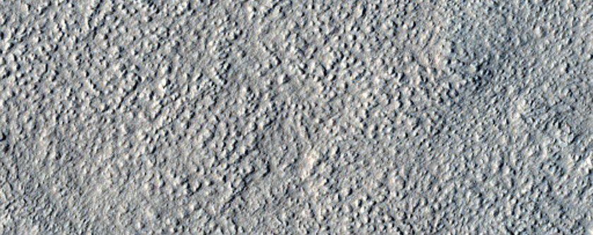Amazonis Planitia