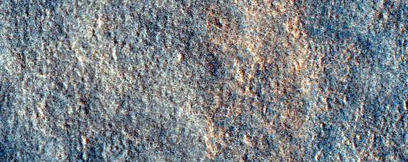 Terrain Sample