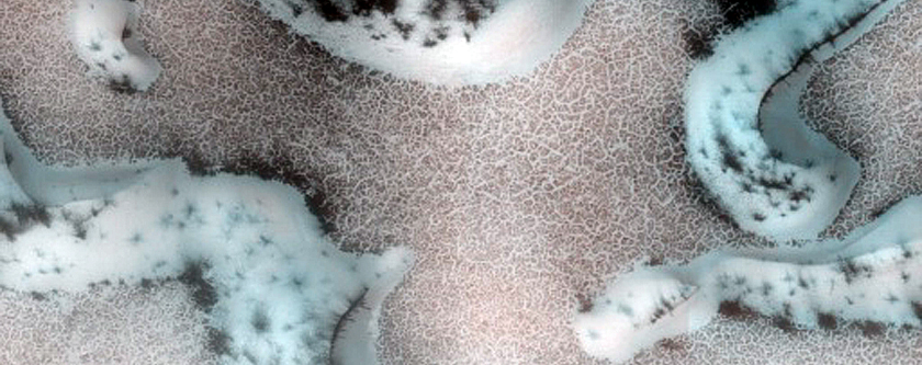 Dune Monitoring in Region Dubbed Palma