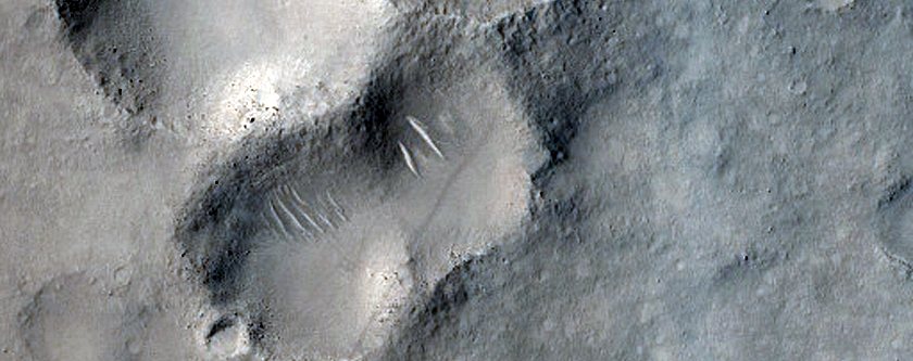 Secondary Craters in Arena Colles