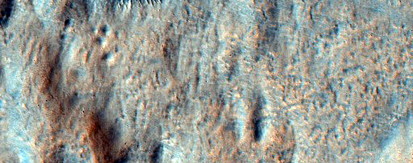 Cones in Northern Mid-Latitudes