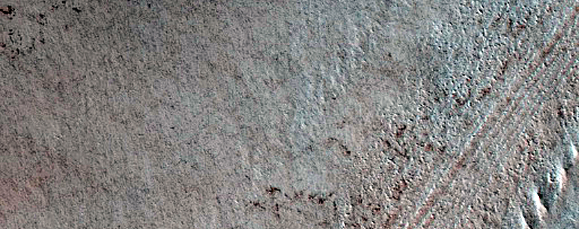 Terrain Sample