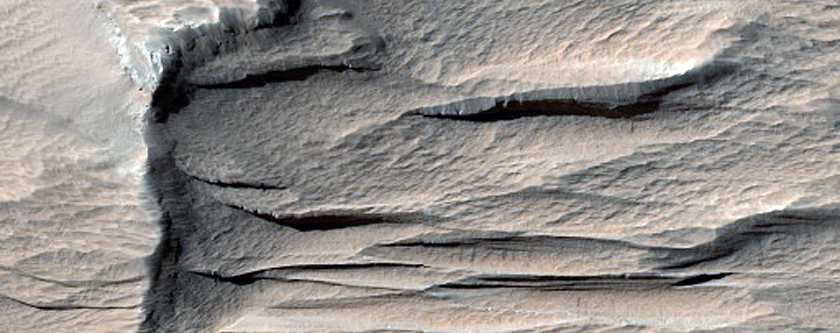Terrain Sample