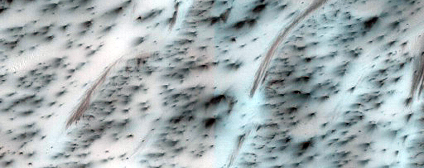 Terrain Sample
