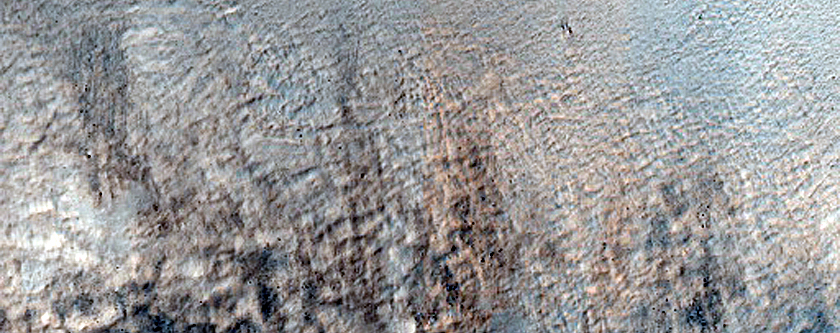 Terrain Sample