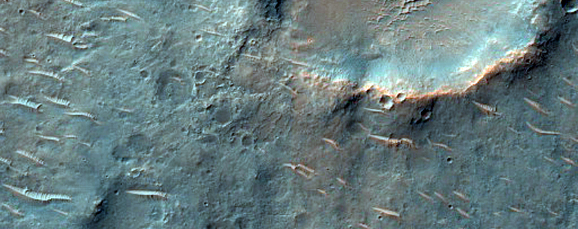 Possible Well-Exposed Chloride-Bearing Deposits in Margaritifer Terra