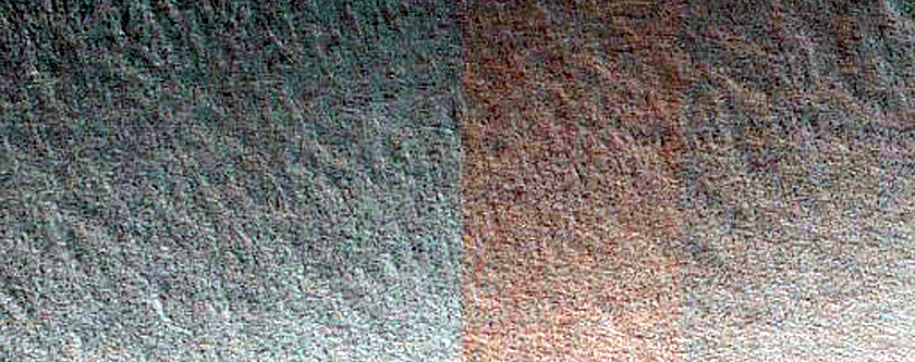 Terrain Sample