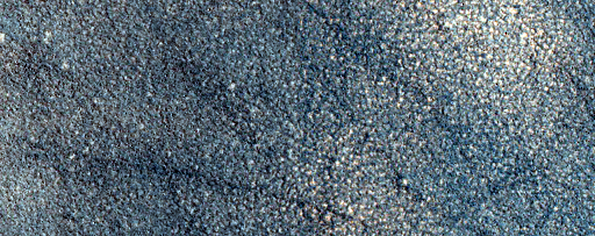 Terrain Sample