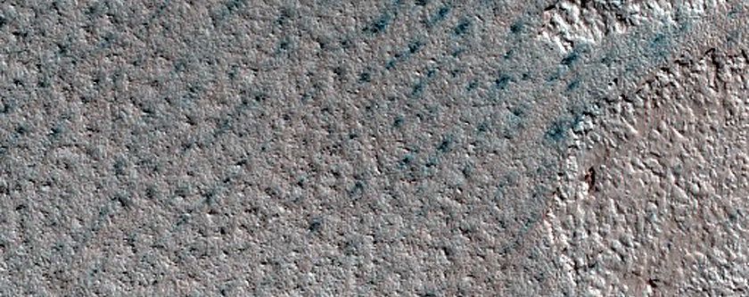 Terrain Sample