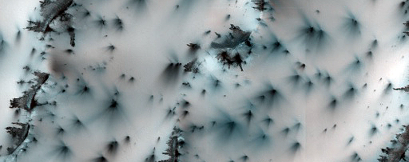 Terrain Sample
