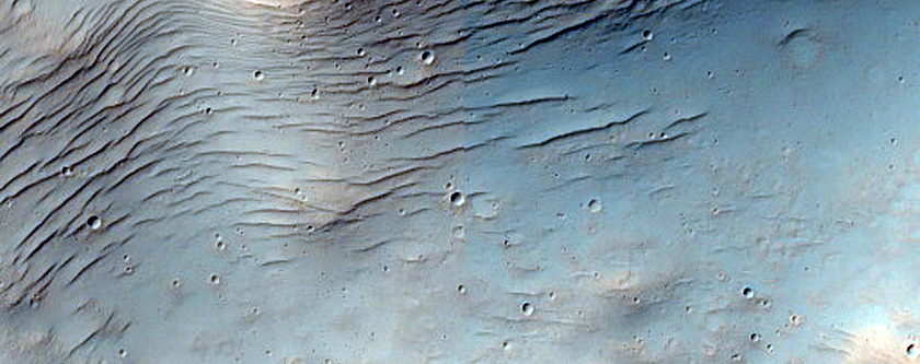 Terrain Sample