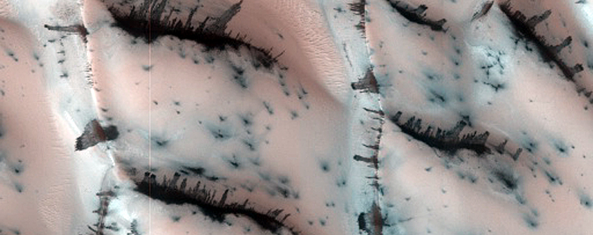 Terrain Sample
