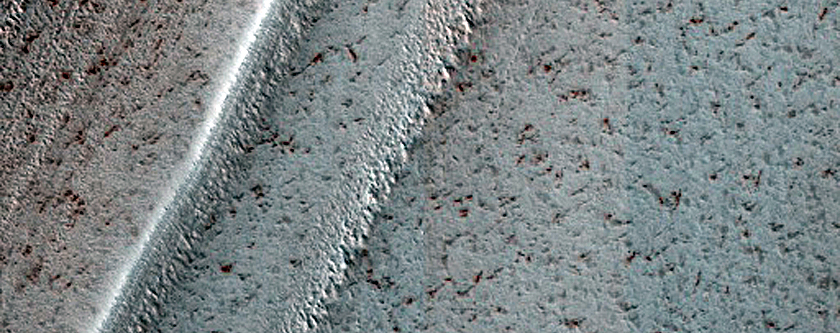 Terrain Sample