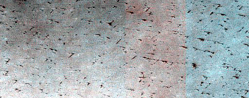 Terrain Sample