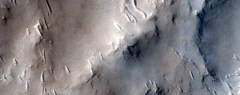 Terrain West of Pasteur Crater