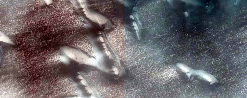 Terrain Sample