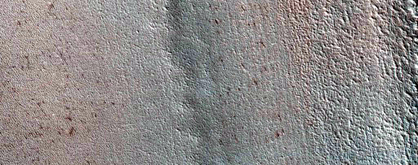 Terrain Sample