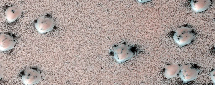 Terrain Sample