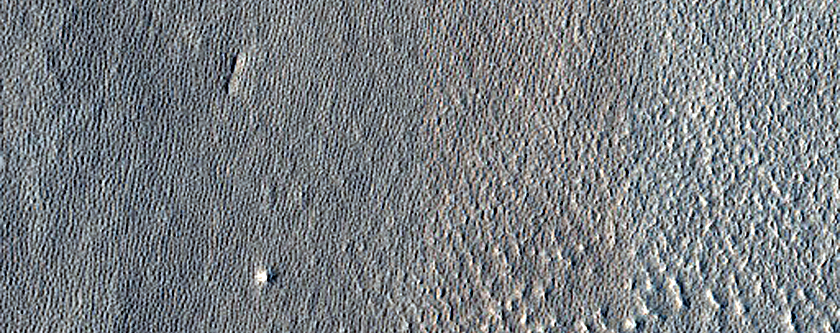Impact Monitoring in Arcadia Planitia