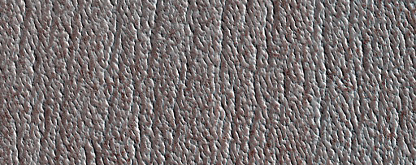 Terrain Sample