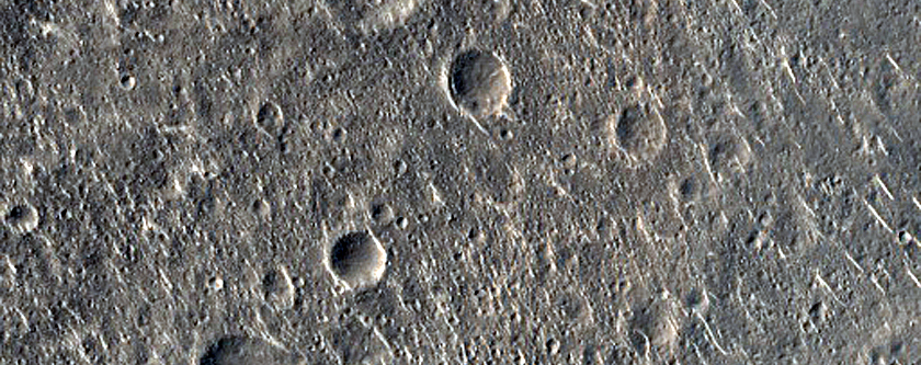 Terrain Sample