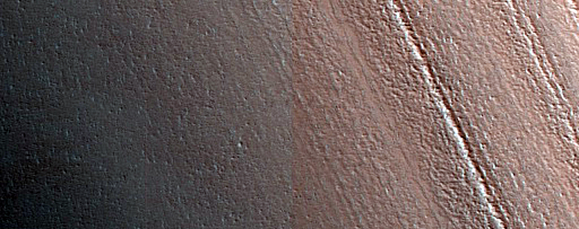 Terrain Sample