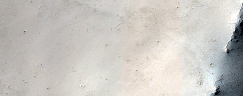 Terrain Sample
