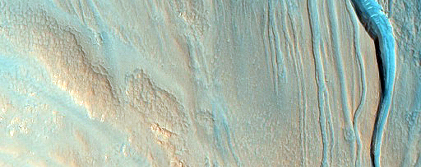 Gully Monitoring