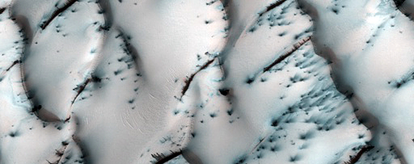 Terrain Sample