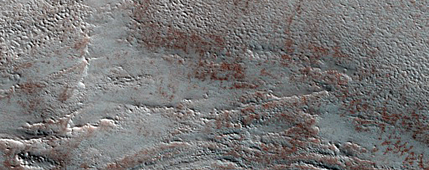Terrain Sample