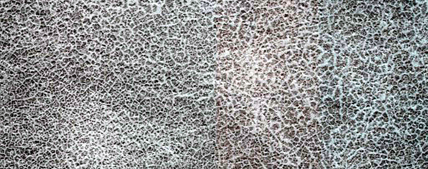 Terrain Sample