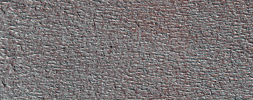 Terrain Sample