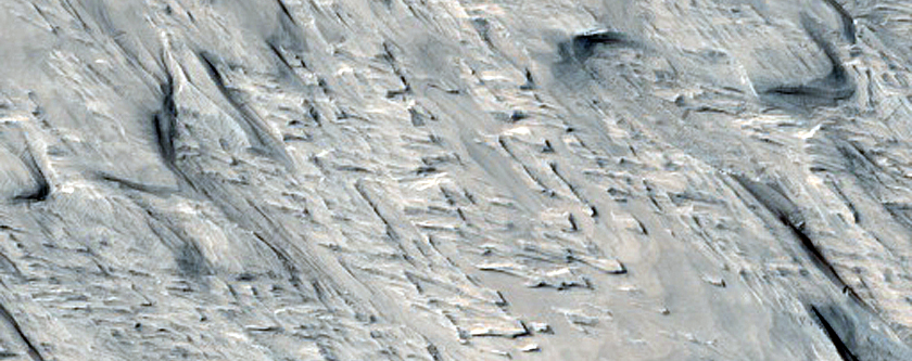Terrain Sample