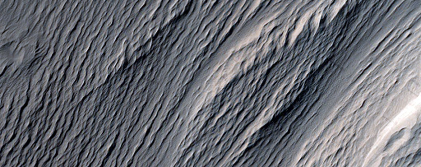 Terrain Sample