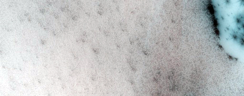 Terrain Sample