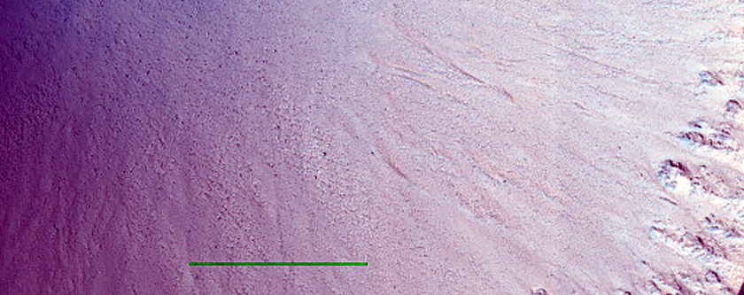 Gully Monitoring