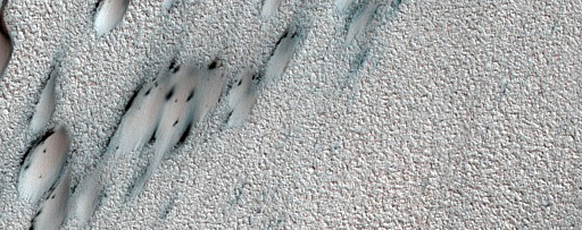 Terrain Sample